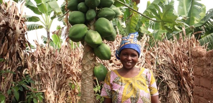 Fruitful Living and Sustainable Tree Planting Initiative