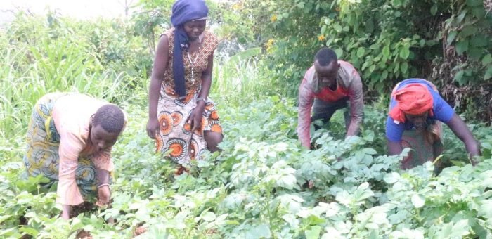 Success in Munini: Lasting Impact of the SOYEE Project