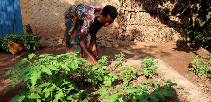 From Hunger to Harvest: How Kitchen Gardens Are Changing Lives in Rasaniro