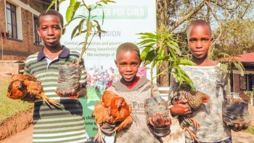 Children receive chicken and a tree to plant at their home