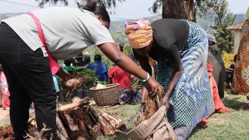 People receiving banana