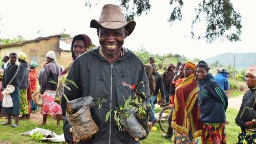 People receiving trees